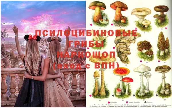 бутират Абинск