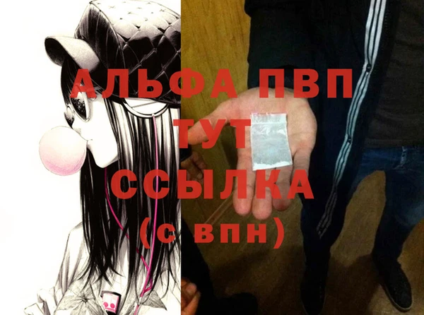 прущий лед Абаза