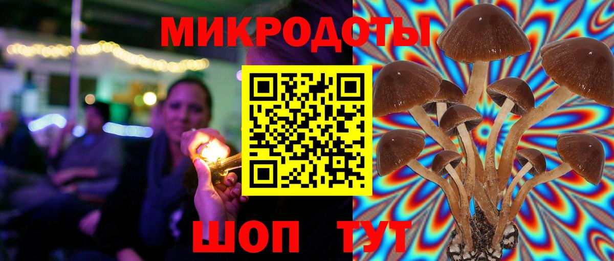 Галлюциногенные грибы MAGIC MUSHROOMS  Псилоцибиновые грибы Psilocybine cubensis  Вход с VPN  Назрань 